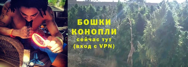 гашик Белоозёрский