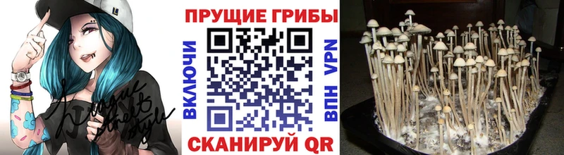 кракен ССЫЛКА Оха Галлюциногенные грибы Magic Shrooms